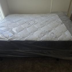 Single Twin Mattress 99 Full Double 159 Queen Bed 179 King 229 California King 229 Frame 69 XL Twin Mattresses All Sizes Available