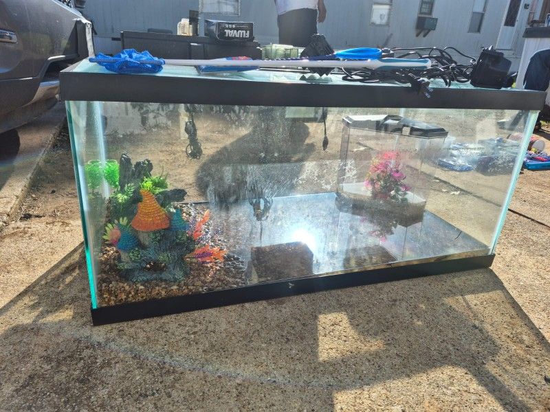 70 Galon fish tank in excellent condition price for all and accessories. and food