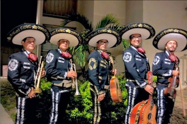 Trompeta mariachi violin
