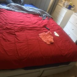 Bed frame and Mattress 