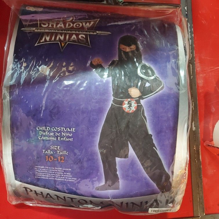 Ninja π Halloween Costume