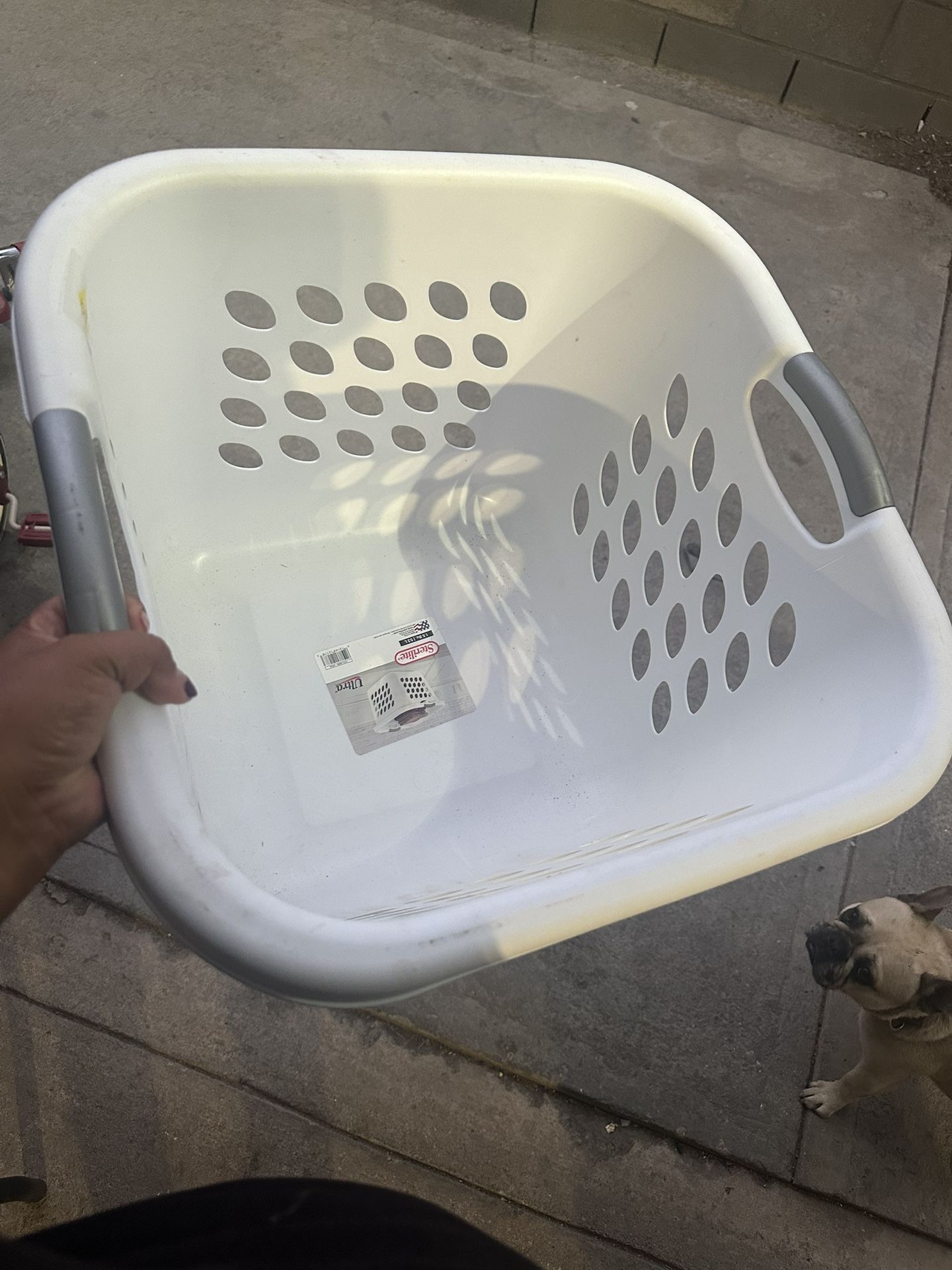 Laundry Basket
