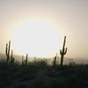  N.Phx