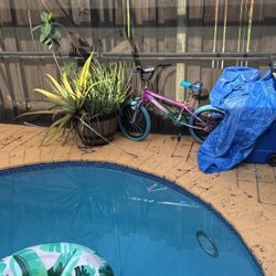 Girls bike