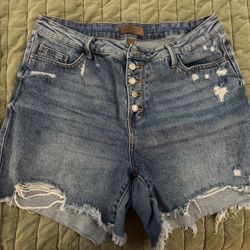 Judy Blue Shorts - 2X