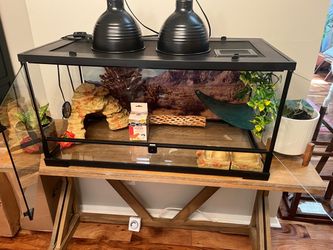 Terrarium