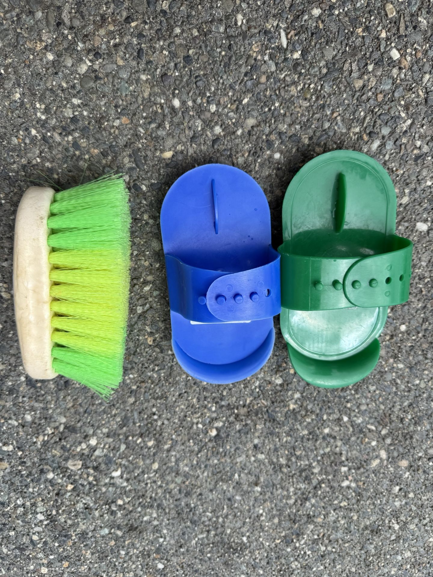 Horse Brush And Combs