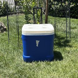IGLOO,ICE CHEST,COOLER