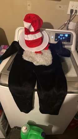 cat in the hat costume
