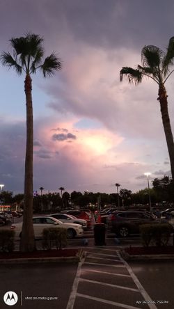 Weight bench , like NEW