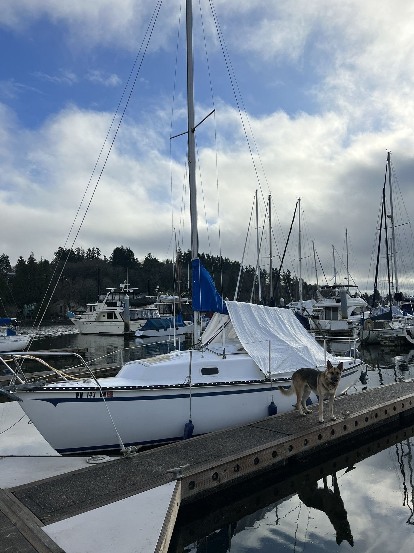 1978 Capital Yachts Neptune 24