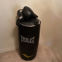 Punching Bag Set