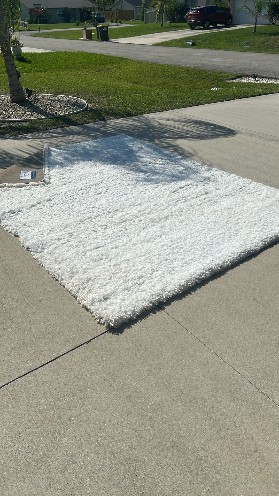 SAFAVIEH White/Ivory RUG. 8’x10’