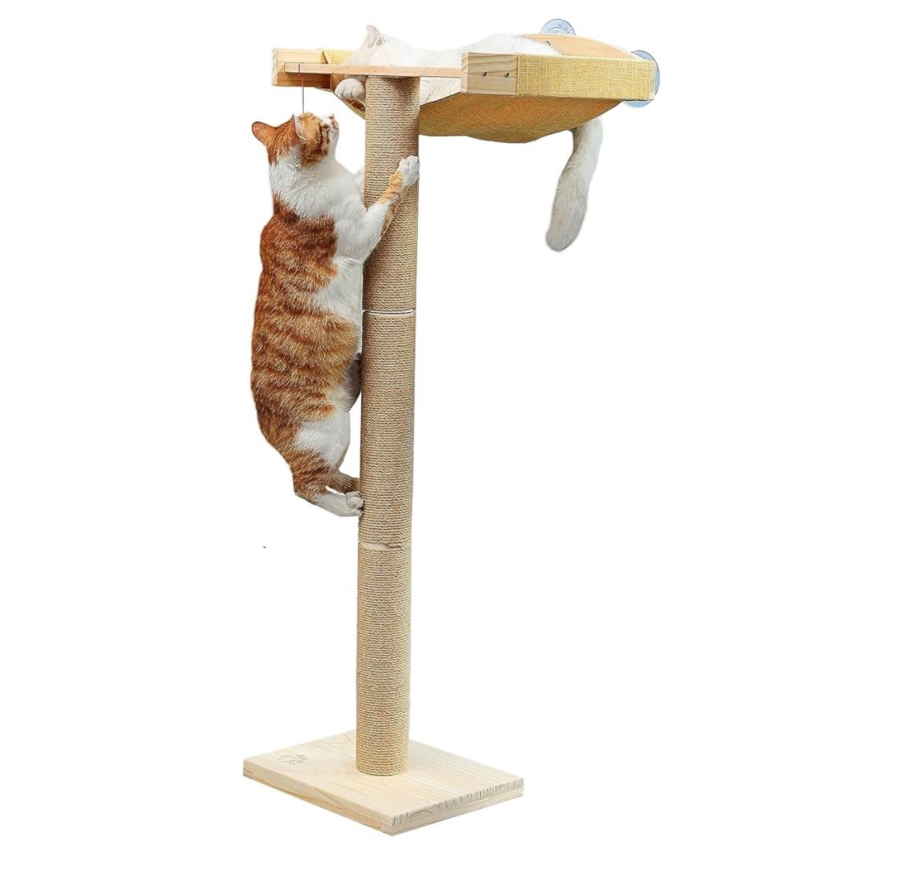 Cat Window Perch with Tall Scratching Posts, Inside 46" Climbing Tree Hammmock Mounted with Suction Cups for Sleeping,Playing and Watching Birds