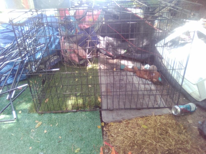 Large Dog Crate