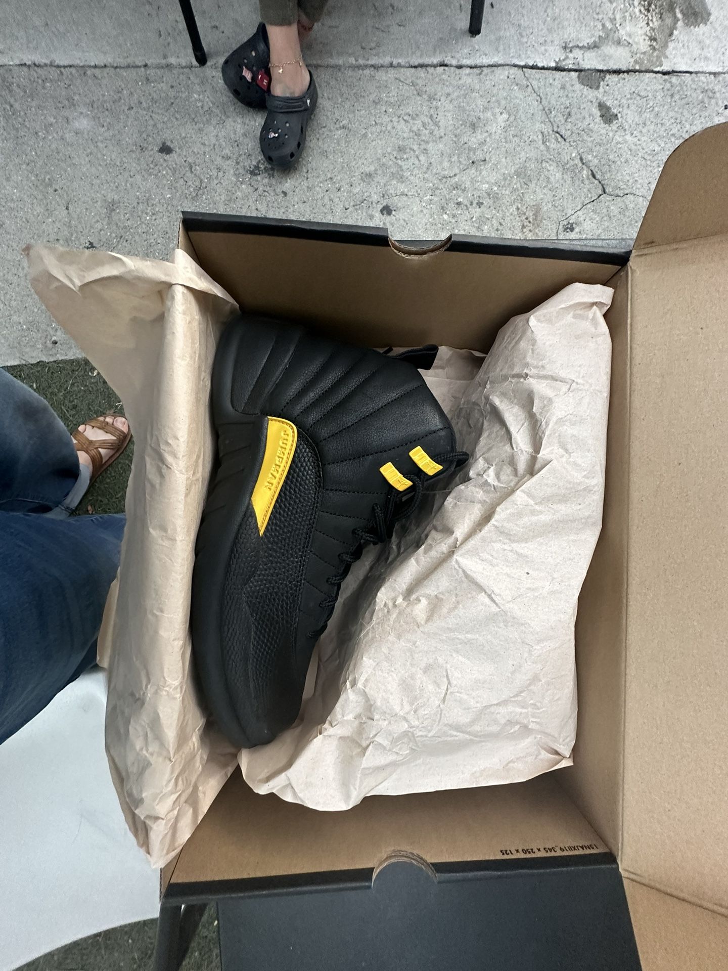 Air Jordan 12 Black Taxi
