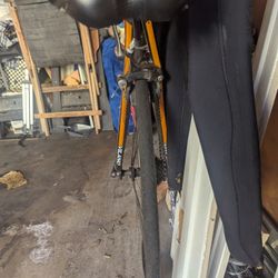 Bike ... $40 nice Vioano