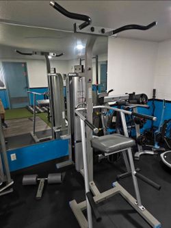 CalGym tuff stuff assisted chin/dip station