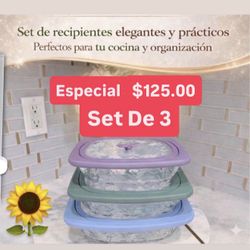 Especial $125.00 Nuevos Conteiner Nueva Línea Wildflower Guarda Comidas Ensaladas Postres Honrnear Princess House Ventas Finales 
