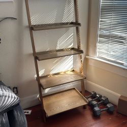 Ladder Bookcase 