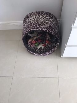 Dog or Cat Bed