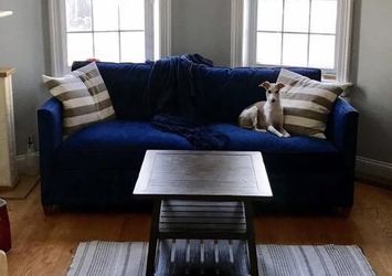 Crate & Barrel Dryden Apartment Sofa