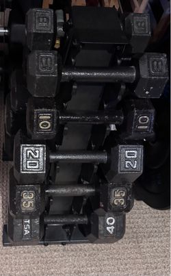 Iron Dumbbells Set (8-40)