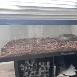 40 Gallon Reptile Tank