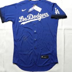 Nike Authentic Los Angeles Dodgers Elite Flex Base City Connect Jersey 