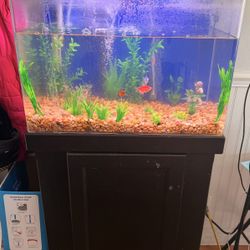 Fish Tank With Fish And Everything Included