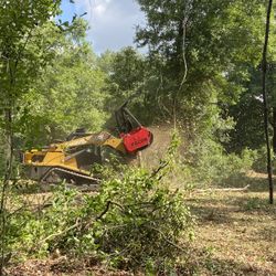 Land Clearing, Bush-hog, Excavating, Forestry’s Mulching