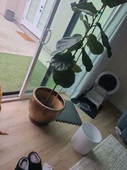 Ceramic Gold Plant Pot