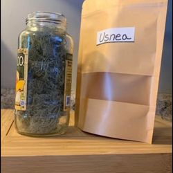 Usnea- old man’s beard -Usnea barbata- moss for home decoration crafting terrariums salves tincture