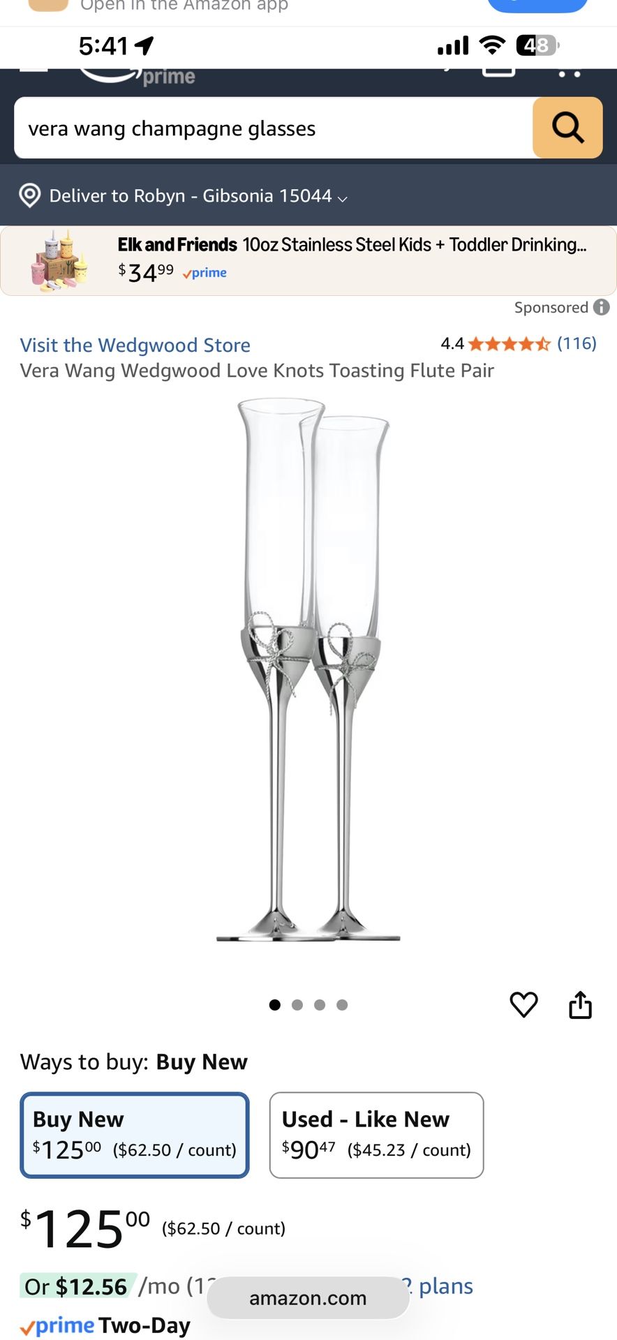 Vera Wang Love Knots Silver Champagne Glasses
