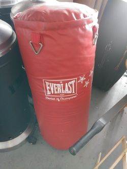 Everlast Punching Bag