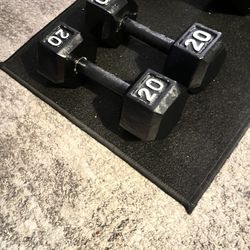 20 Lb Dumbells