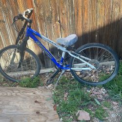 Free Schwinn Kids Size