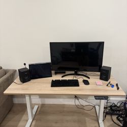 Standing  And Sitting Electric Desk