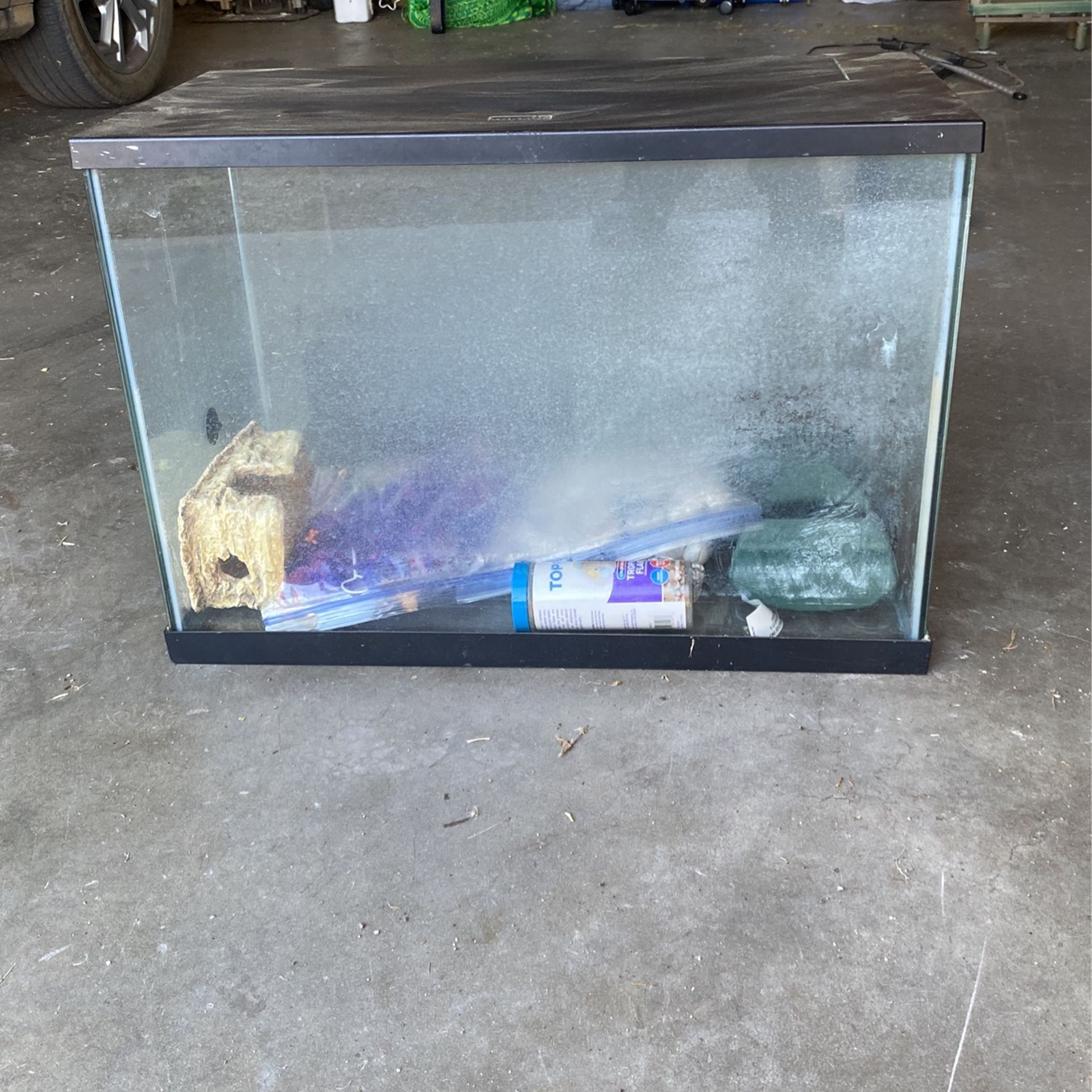 Fish Tank