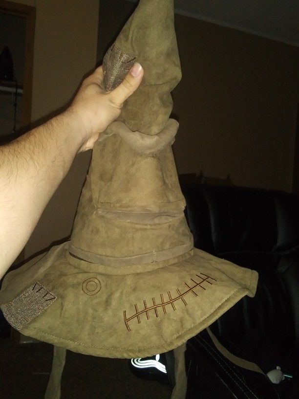 Harry Potter talking sorting Hat