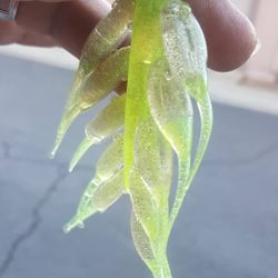 Fishing Lures Gummy shad