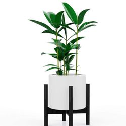 Plant pot holder ( Plant not Included ) 
