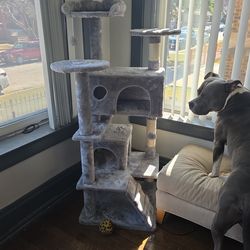 Cat chair, scratcher with toy ball.