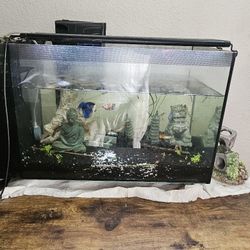 Fishes