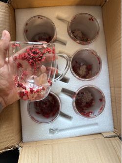 🌹 Brand New Set of 6 Double-Wall Floral Glass Coffee Mugs