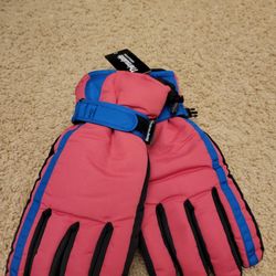 3m Thinulate 40 G Snow Gloves