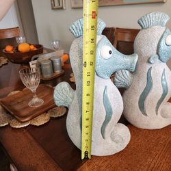 Seahorse