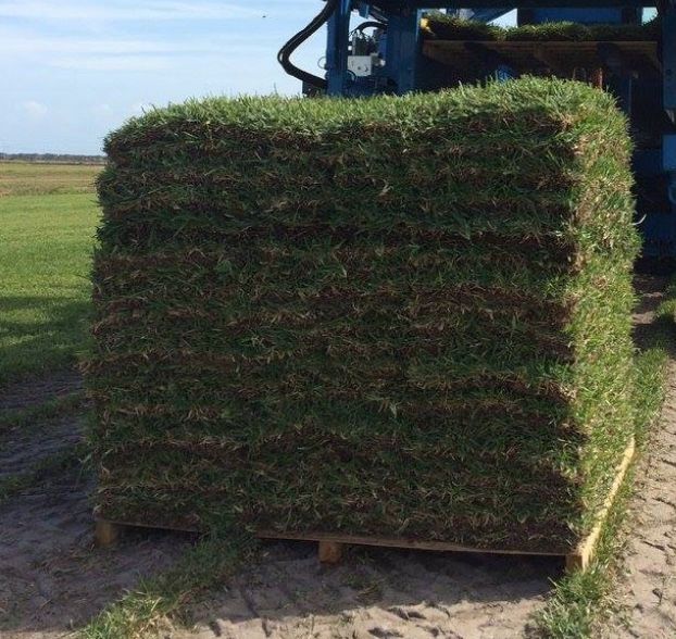 Pallets Of Grass (sod) for Sale in Dania Beach, FL OfferUp