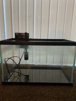 10 gallon fish tank