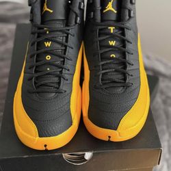 Air Jordan 12 